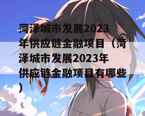 菏泽城市发展2023年供应链金融项目（菏泽城市发展2023年供应链金融项目有哪些）