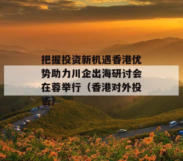 把握投资新机遇香港优势助力川企出海研讨会在蓉举行（香港对外投资）