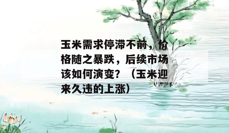 玉米需求停滞不前，价格随之暴跌，后续市场该如何演变？（玉米迎来久违的上涨）