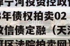 天津宁河投资控政信2023年债权拍卖02号政信债定融（天津市宁河区法院拍卖网）