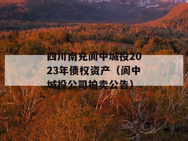 四川南充阆中城投2023年债权资产（阆中城投公司拍卖公告）
