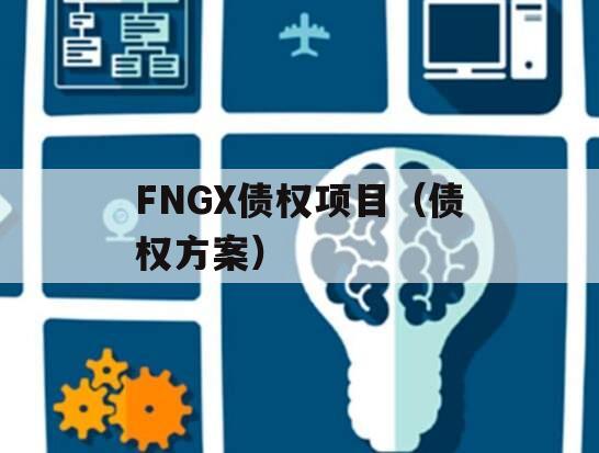FNGX债权项目（债权方案）