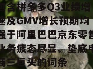 包含拼多多Q3业绩增速及GMV增长预期均强于阿里巴巴京东零售业务疲态尽显、垫底电商三巨头的词条