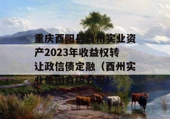 重庆酉阳县酉州实业资产2023年收益权转让政信债定融（酉州实业集团有限公司）