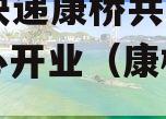 DHL快递康桥共享服务中心开业（康桥物流中心）
