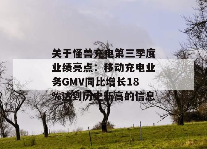 关于怪兽充电第三季度业绩亮点：移动充电业务GMV同比增长18%达到历史新高的信息