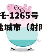 XX信托-1265号江苏盐城市（射阳信托）