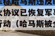 以军称哈马斯违反临时停火协议已恢复军事打击行动（哈马斯被全歼）