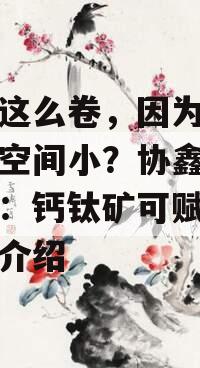 光伏这么卷，因为晶硅突破空间小？协鑫光电范斌：钙钛矿可赋能的简单介绍