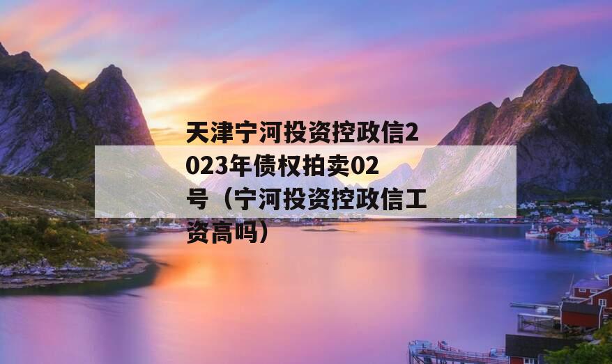天津宁河投资控政信2023年债权拍卖02号（宁河投资控政信工资高吗）