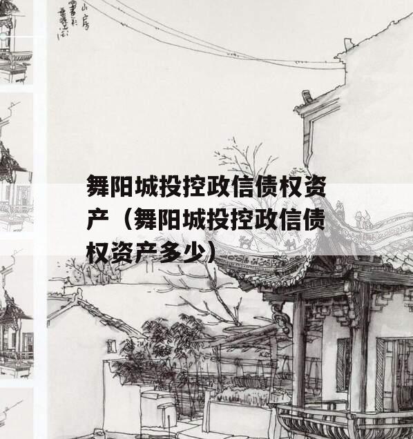 舞阳城投控政信债权资产（舞阳城投控政信债权资产多少）