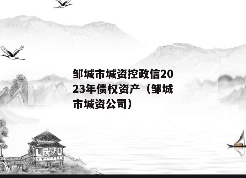 邹城市城资控政信2023年债权资产（邹城市城资公司）