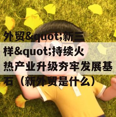 外贸"新三样"持续火热产业升级夯牢发展基石（新外贸是什么）