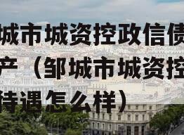 邹城市城资控政信债权资产（邹城市城资控政信待遇怎么样）