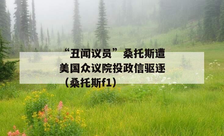 “丑闻议员”桑托斯遭美国众议院投政信驱逐（桑托斯f1）