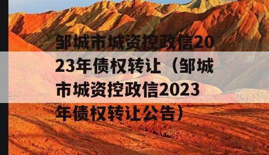 邹城市城资控政信2023年债权转让（邹城市城资控政信2023年债权转让公告）