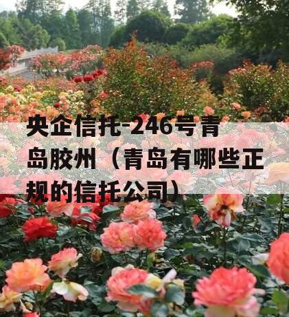 央企信托-246号青岛胶州（青岛有哪些正规的信托公司）