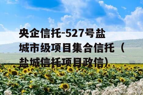 央企信托-527号盐城市级项目集合信托（盐城信托项目政信）