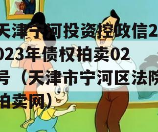 天津宁河投资控政信2023年债权拍卖02号（天津市宁河区法院拍卖网）