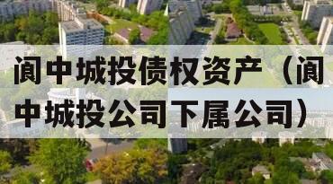阆中城投债权资产（阆中城投公司下属公司）