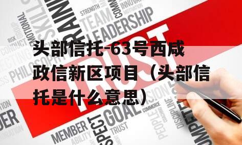 头部信托-63号西咸政信新区项目（头部信托是什么意思）