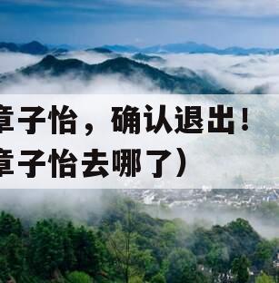 章子怡，确认退出！（章子怡去哪了）