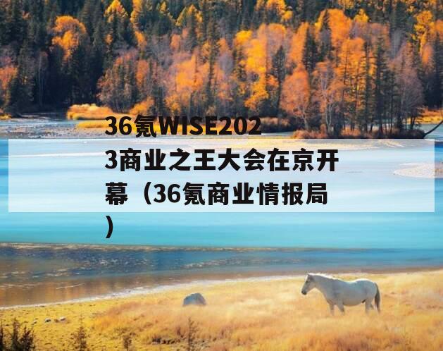 36氪WISE2023商业之王大会在京开幕（36氪商业情报局）