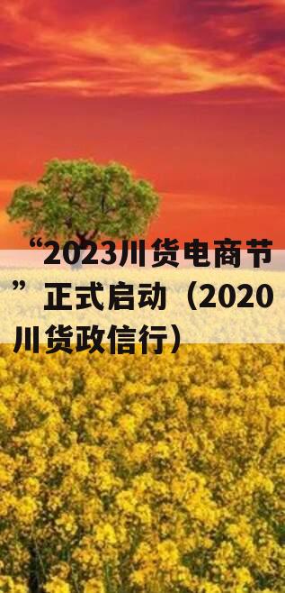 “2023川货电商节”正式启动（2020川货政信行）