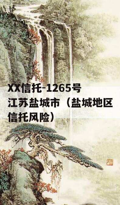 XX信托-1265号江苏盐城市（盐城地区信托风险）