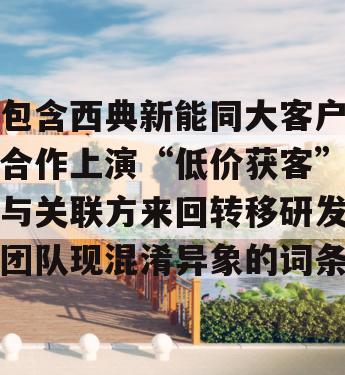 包含西典新能同大客户合作上演“低价获客”与关联方来回转移研发团队现混淆异象的词条