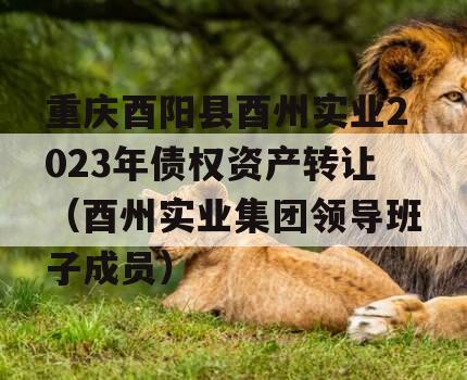 重庆酉阳县酉州实业2023年债权资产转让（酉州实业集团领导班子成员）