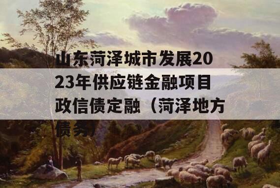 山东菏泽城市发展2023年供应链金融项目政信债定融（菏泽地方债务）