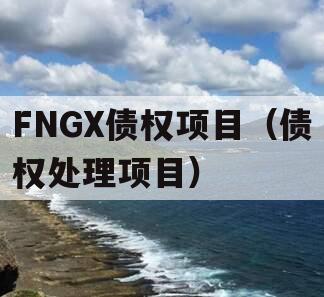 FNGX债权项目（债权处理项目）
