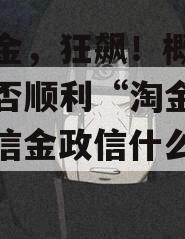 政信金，狂飙！概念政信能否顺利“淘金”？（政信金政信什么意思）