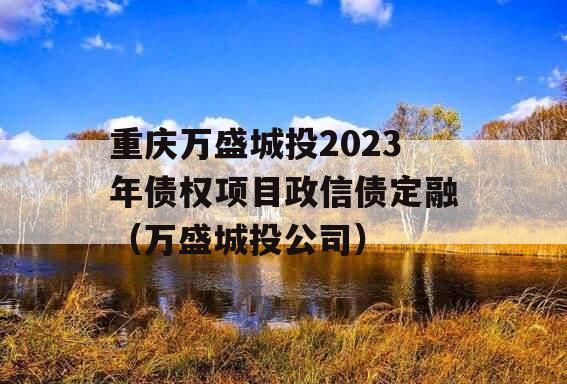 重庆万盛城投2023年债权项目政信债定融（万盛城投公司）