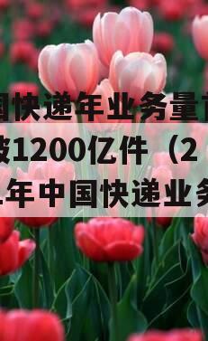我国快递年业务量首次突破1200亿件（2021年中国快递业务量）
