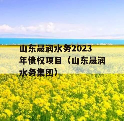 山东晟润水务2023年债权项目（山东晟润水务集团）