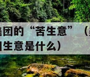 美团的“苦生意”（美团生意是什么）