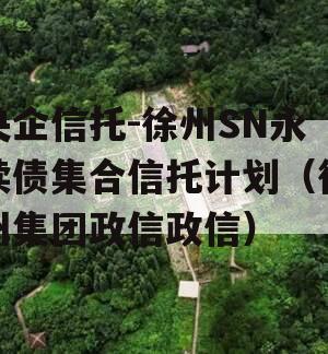 央企信托-徐州SN永续债集合信托计划（徐州集团政信政信）