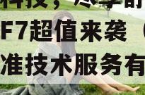 品味科技，尽享舒适，飞凡F7超值来袭（飞凡标准技术服务有限公司）