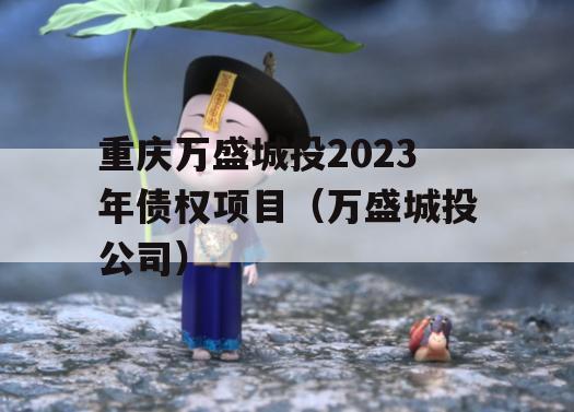 重庆万盛城投2023年债权项目（万盛城投公司）