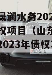 山东晟润水务2023年债权项目（山东晟润水务2023年债权项目招标）