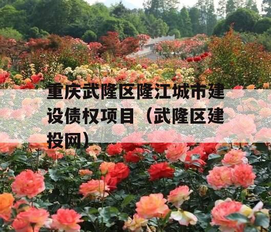 重庆武隆区隆江城市建设债权项目（武隆区建投网）