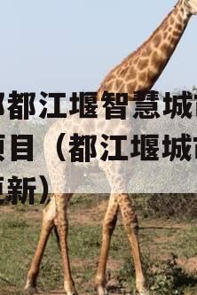 成都都江堰智慧城市运营项目（都江堰城市有机更新）