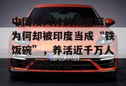 中国没人种的政信麻，为何却被印度当成“铁饭碗”，养活近千万人？的简单介绍