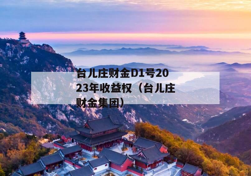 台儿庄财金D1号2023年收益权（台儿庄财金集团）