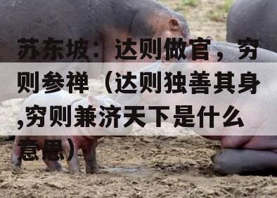 苏东坡：达则做官，穷则参禅（达则独善其身,穷则兼济天下是什么意思）