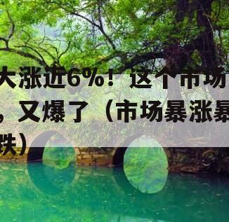 大涨近6%！这个市场，又爆了（市场暴涨暴跌）