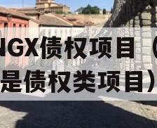 FNGX债权项目（什么是债权类项目）
