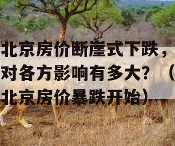 北京房价断崖式下跌，对各方影响有多大？（北京房价暴跌开始）